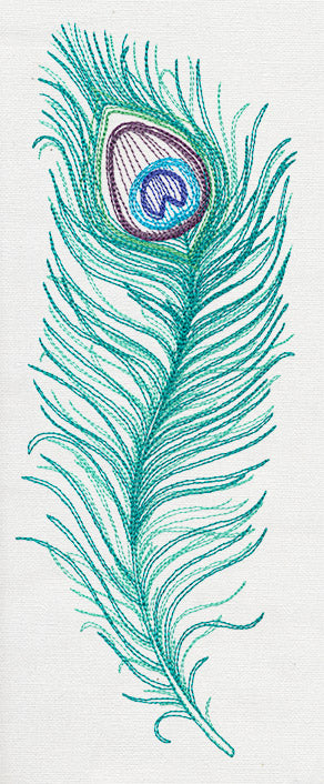 Peacock Quill