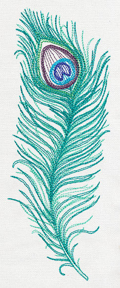 Peacock Quill