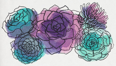 Painted Succulents