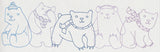 Polar Bear Border
