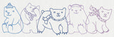 Polar Bear Border