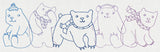 Polar Bear Border