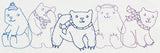 Polar Bear Border