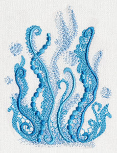 Aquarius - Seaweed