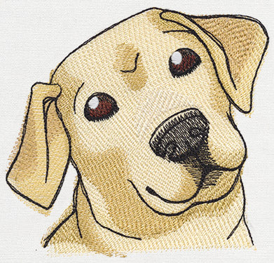 Pocket Pets - Puppy