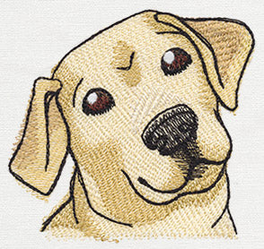 Pocket Pets - Puppy