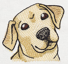 Pocket Pets - Puppy