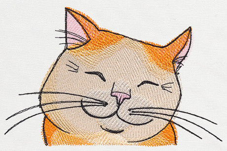 Pocket Pets - Kitty