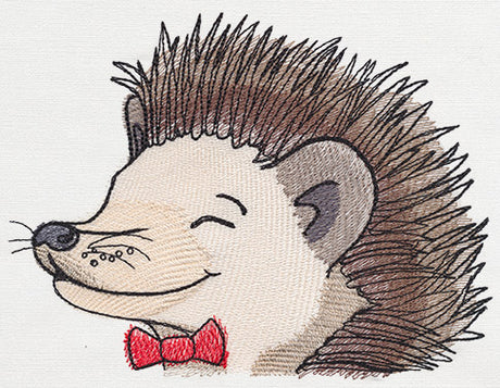 Pocket Pets - Hedgehog