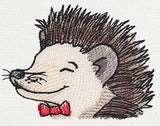 Pocket Pets - Hedgehog