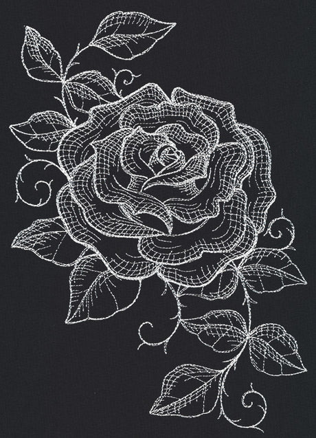 Chalked Rose