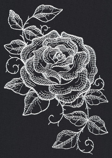 Chalked Rose