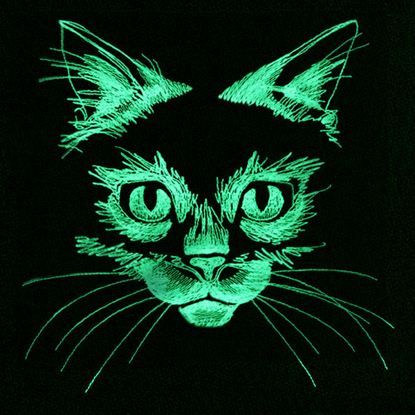 Flickering Feline
