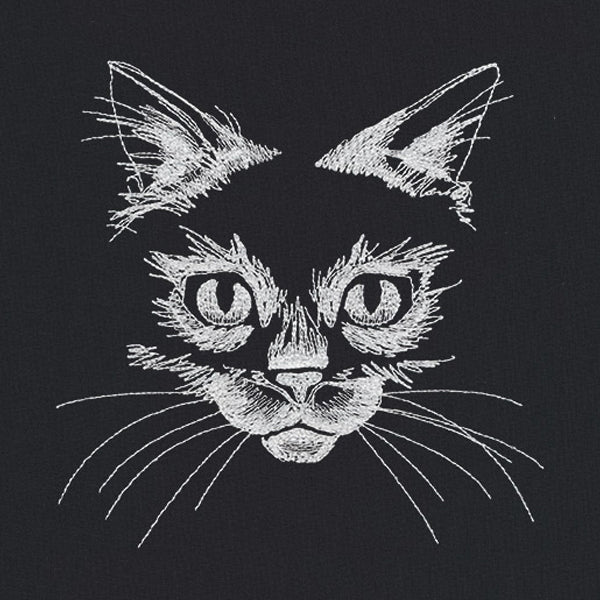 Flickering Feline
