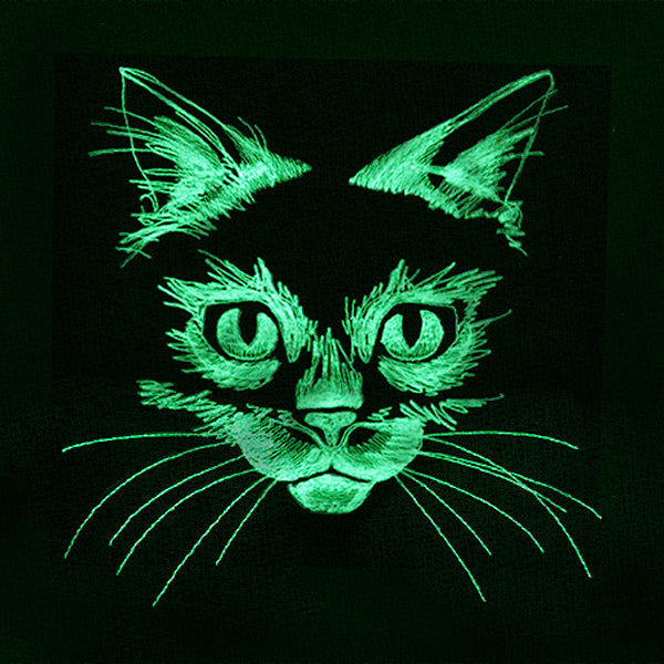 Flickering Feline