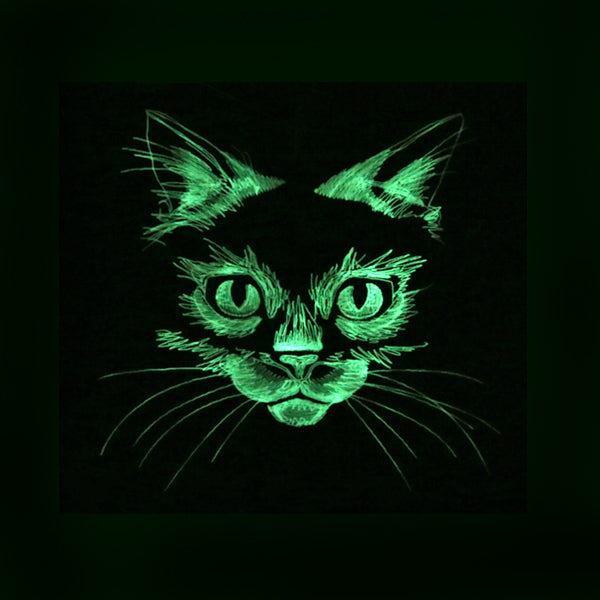 Flickering Feline