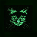 Flickering Feline