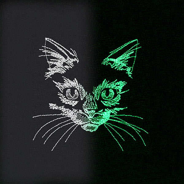 Flickering Feline