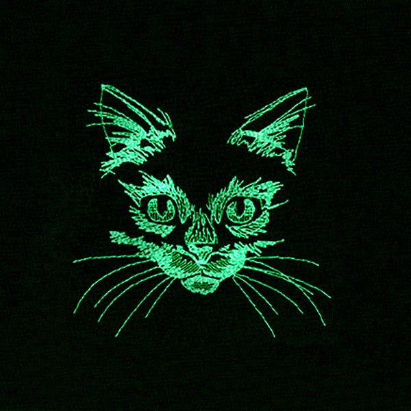 Flickering Feline