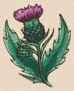 Passport to Scotland - Scottish Thistle
