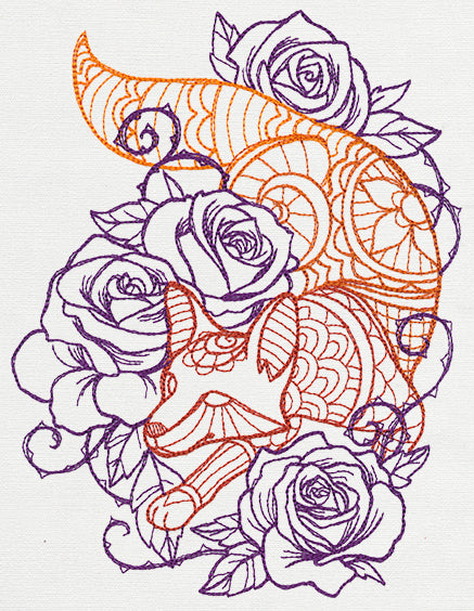 Delicate Fox