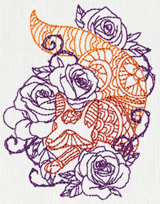 Delicate Fox