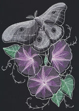 Nocturnus - Moth