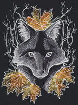 Nocturnus - Fox