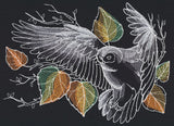 Nocturnus - Owl