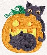 Cat-o'-Lantern