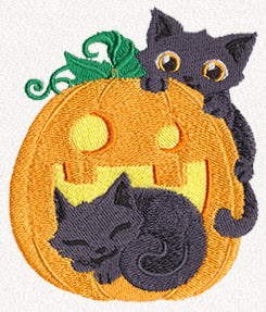 Cat-o'-Lantern
