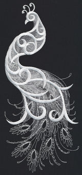 White Peacock