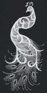 White Peacock