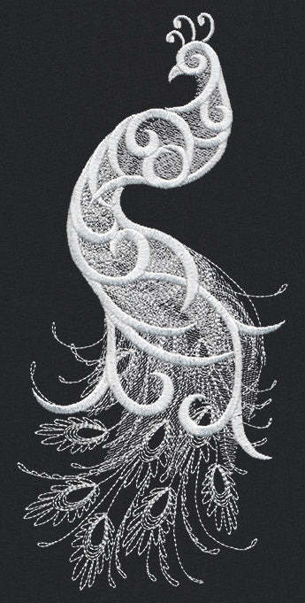 White Peacock