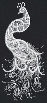 White Peacock