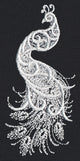 White Peacock