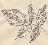 Delicate