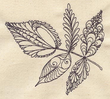 Delicate
