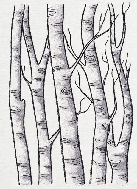 Birch Tree Forest
