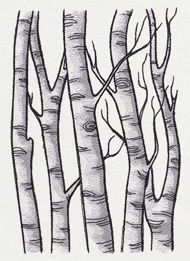 Birch Tree Forest