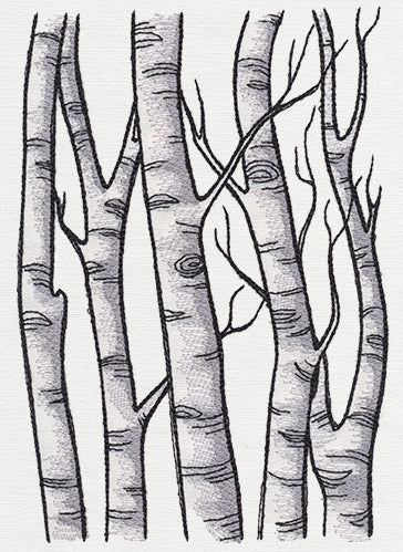 Birch Tree Forest
