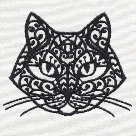 Kitten Purr