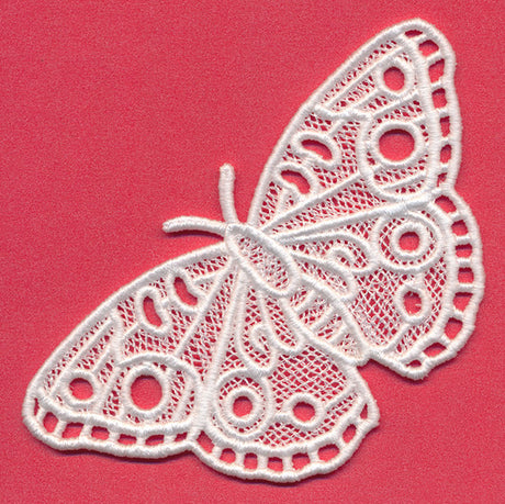 Chrysalis - Buckeye (Lace)
