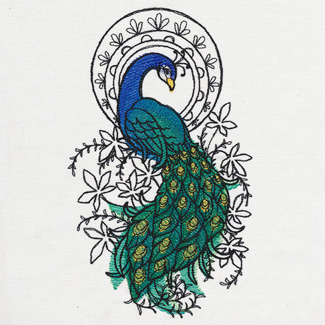 Indian Peacock