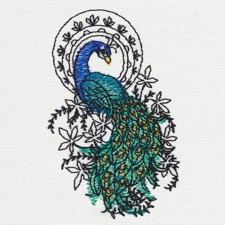 Indian Peacock