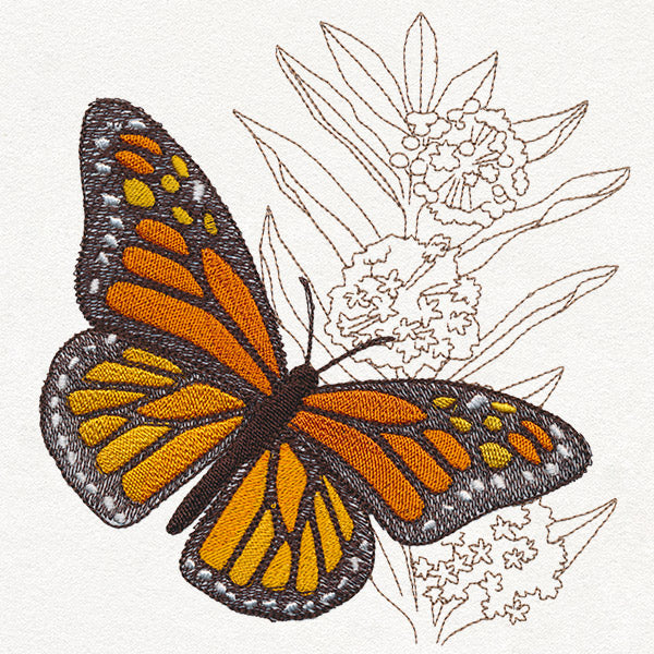 Monarch Magic