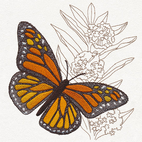 Monarch Magic