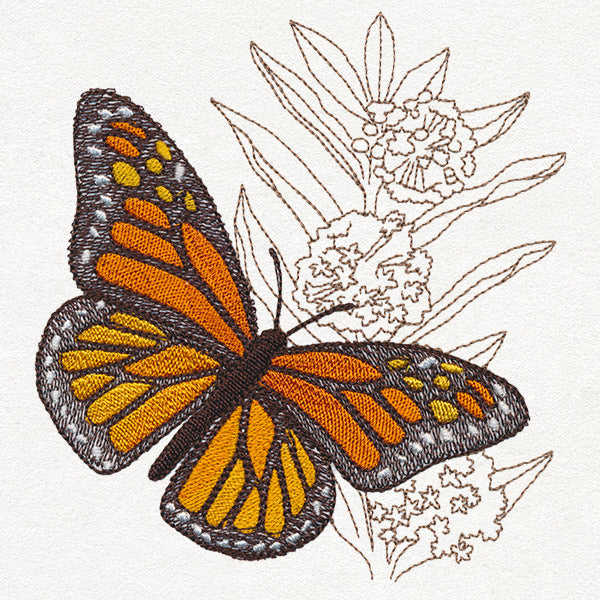 Monarch Magic