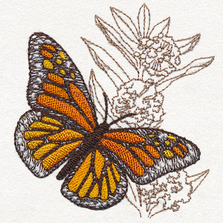 Monarch Magic