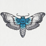 Phantasm - Death's-Head Hawkmoth